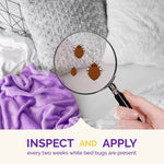 Close-up of a bed area showing pillows and blanket with a magnifying glass revealing illustrated bed bugs and inspection advice text below.