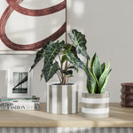 Two ceramic planters including Mainstays Andrew striped birch-gray and vanilla planter styled with plants on a wooden surface