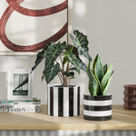 Two ceramic planters on a wooden surface, one with vertical black stripes and one with horizontal black and white stripes