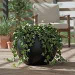 Matte black round planter on a wood deck filled with trailing ivy, outdoor patio chair and plants blurred in background.