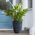 Blue Cove Mainstays Capri planter on a porch filled with leafy green plants beside a blue door