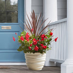 Cream ribbed plastic planter filled with red flowers positioned on a porch near a blue door