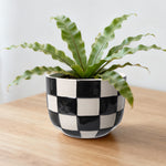 Glossy black-and-white checkered ceramic planter on a wooden surface containing a green leafy plant.