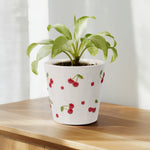 Cream ceramic cherry planter with a green potted plant inside, shown on a wooden surface