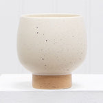 Close-up front view of a cream speckled ceramic planter resting on a white surface with tan base