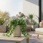 Birch gray plastic planter with saucer holding a trailing green plant on outdoor table