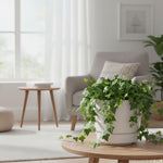 Vanilla-colored round planter with trailing ivy placed on a wooden table in a bright living room scene