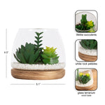 Informational product graphic showing terrarium dimensions, features and three inset detail photos with labels