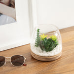 Styled lifestyle shot of glass terrarium with faux succulents on a wooden surface beside sunglasses and a frame