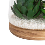 Close-up of large green faux succulent inside glass terrarium resting on white pebbles and wooden base