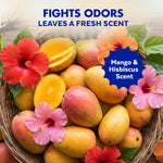 Close-up basket of ripe mangoes and hibiscus flowers with text calling out mango & hibiscus scent