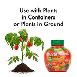Dynamite Mater Magic jar next to a small tomato plant and soil with text about use in containers or in ground