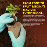 Gloved hands holding a small seedling over a peat pot with text promoting Medina Soil Activator on a brown soil background