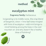 Method branded infographic describing "eucalyptus mint" fragrance family with leaf accents on a pale green background