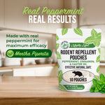 Mighty Mint pouch on a kitchen counter with text overlay ‘Real Peppermint Real Results’ and product branding