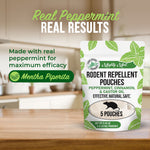 Lifestyle graphic of Mighty Mint pouch on a kitchen counter with text promoting real peppermint efficacy