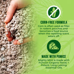 Hand holding pumice-like granules beside text describing a corn-free formula and pumice ingredient
