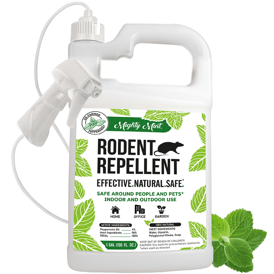 White jug with spray attachment labeled Mighty Mint Rodent Repellent, green leaf graphics and peppermint sprig