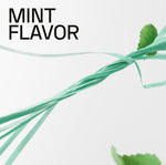 Artistic twined mint-green floss strands with 'MINT FLAVOR' text and mint leaf accents.