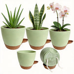 Group of mint-green self-watering pots with three potted plants and one inverted pot showing rope holes