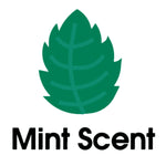 Green stylized leaf icon above the words “Mint Scent” on a plain white background.