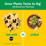 Side-by-side comparison graphic labeled 'Fed with vs Unfed' showing larger healthy plant versus smaller unfed plant.