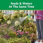 Person using Miracle-Gro Garden Feeder attached to a hose to water a flower bed, spray pattern visible.