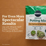 Partial bag of Miracle-Gro Indoor Potting Mix for Cactus & Succulent shown beside text recommending use for more spectacular results.