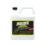White plastic jug with a black cap and black label reading Moldex Disinfectant Concentrate, bleach-free warning visible
