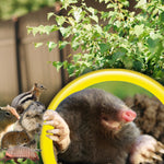 Graphic close-up of a mole and small rodents with foliage background, product-themed lifestyle image