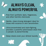 Teal infographic listing benefits of Molly's Suds detergent, including gentle, plant-based and deep-clean claims