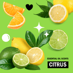 Graphic of sliced citrus fruits and green leaves on bright green background with label “CITRUS” for essential oil scents