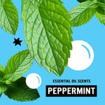 Close-up graphic of fresh mint leaves on a blue background with text 'Essential oil scents Peppermint'