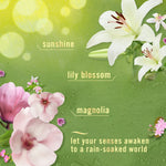 Decorative floral infographic listing scent notes: sunshine, lily blossom, magnolia on a green textured background.