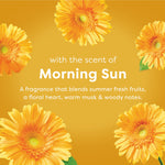 Graphic panel with yellow gerbera flowers and text reading “with the scent of Morning Sun” describing the fragrance profile.
