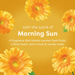 Graphic panel with yellow flowers and text describing the scent ‘with the scent of Morning Sun’ and a short fragrance description