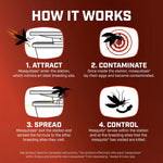 How it works infographic with four illustrated steps showing attract, contaminate, spread and control for mosquito station