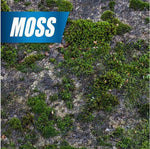Close-up of moss patches growing on a rough stone or concrete surface with a blue 'MOSS' banner
