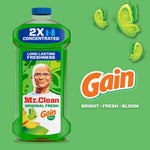 Stylized green background with large Mr. Clean Gain-scent bottle and Gain logo with butterflies