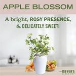 Promotional graphic reading APPLE BLOSSOM with a vase of blossoms and fruit on a soft kitchen background