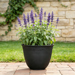 Black Asti-style planter holding purple flowering plant on a patio in front of a stone wall