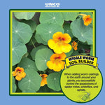 Close-up photo of yellow-orange nasturtium flowers and round leaves with Wiggle Worm Soil Builder callout bubble.