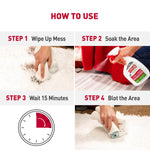 How-to-use infographic showing four steps: wipe up mess, soak the area, wait 15 minutes, blot the area with images