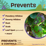 Informational graphic listing diseases prevented by Neem MAX with leaf-spot photo and checklist items
