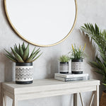 Set of three Nikos black-and-white patterned ceramic planters displayed on a console table under a round mirror.