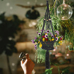 Styled indoor scene with black macramé planter hanger filled with colorful flowers hanging near glass decor