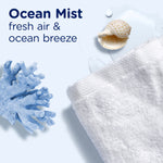 Flat-lay styled image of towel, seashell and coral with text ‘Ocean Mist fresh air & ocean breeze’