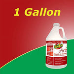 Promotional graphic showing a one-gallon OdoBan cherry liquid air freshener jug against red and green background with large "1 Gallon" text