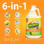 Orange 6-in-1 infographic featuring an OdoBan citrus disinfectant jug and six circular icons for household uses