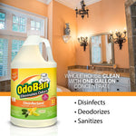 Lifestyle bathroom scene with a large OdoBan citrus disinfectant jug in the foreground and promotional product text